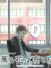推理玩家 实景推理综艺免费观看